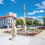 Kombi Prevoz Beograd – Senec 5 senec